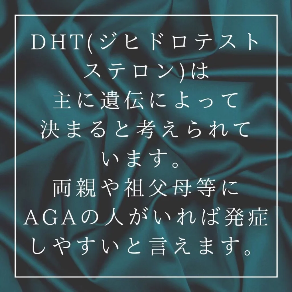 薄毛の遺伝に関する解説画像 2